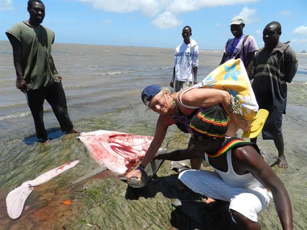 Tourist with fishermen beside a large cut ray fish on the beach
