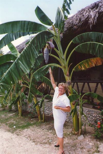 Woman in white touching banana plant leaves in front of a thatched hut