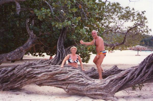 Couple in swimwear on twisted driftwood trunk, beach trees and pale sand