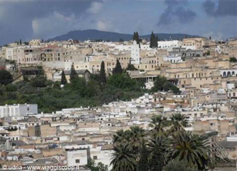 Old town of Fez, cream-colored houses packed on the hillside, palm trees and cloudy sky