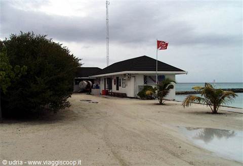 White beach hut with red flag on sandy shore, palm trees and grey sea