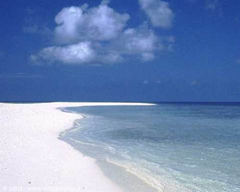 The Beach