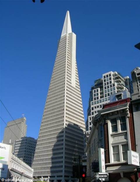 The Transamerica Pyramid in San Francisco rising above Chinatown buildings under blue sky