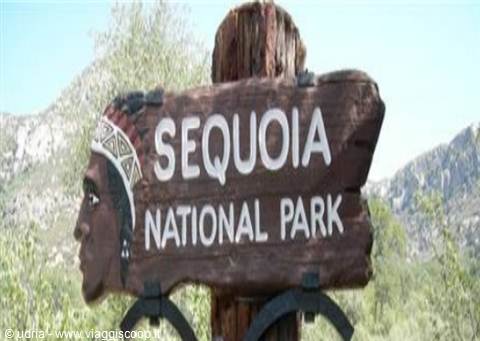 Carved wooden sign with Native American face, Sequoia National Park