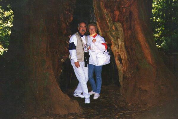 Couple standing between the hollow trunks of a giant sequoia, green forest light