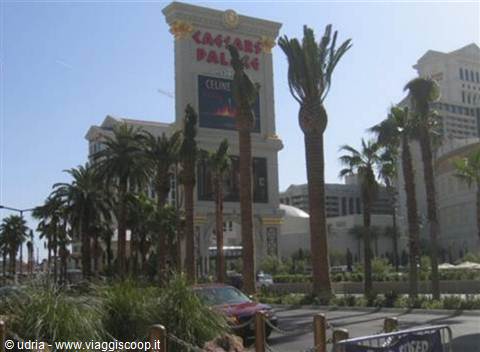 Palms in front of the Caesars Palace sign in Las Vegas