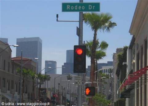 Green Rodeo Drive street sign in Los Angeles, red traffic light among palm trees