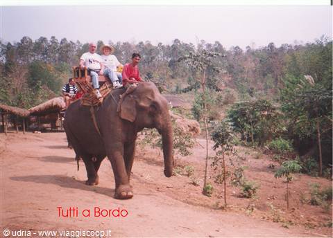 Tourists on a wooden howdah riding an elephant along a dirt road