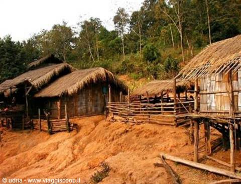 Village with wooden thatched stilt houses on red earth