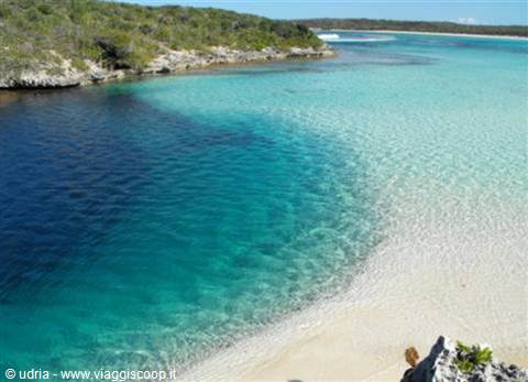 Clear turquoise water over white sand, green vegetation on rocky shore