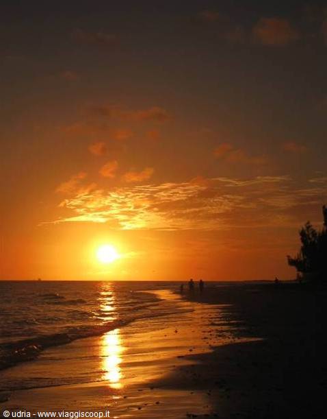 Sunset over the Sea