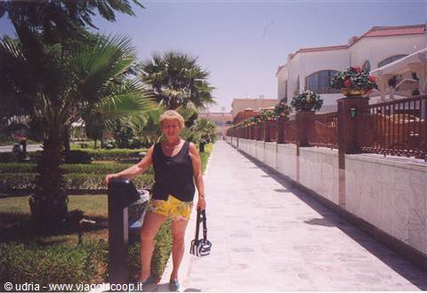 Blonde woman leaning on a bin along a paved path between palms and resort