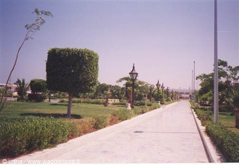 Paved walkway lined with trimmed hedges, iron lampposts, midday sunlight