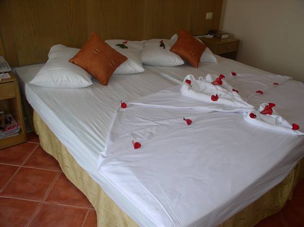 Hotel double bed with towels folded into swans and rose petals scattered on white sheets