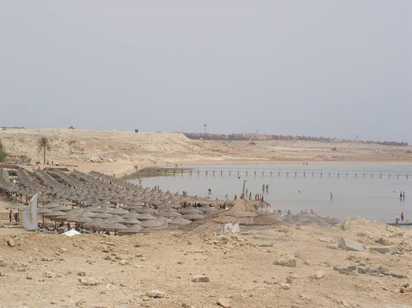 Straw umbrellas on sandy beach, swimmers in shallow water under hazy sky