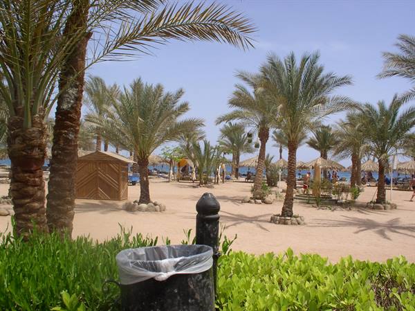 Beach with palm trees, straw umbrellas and a bin in the foreground, tourists in the sun