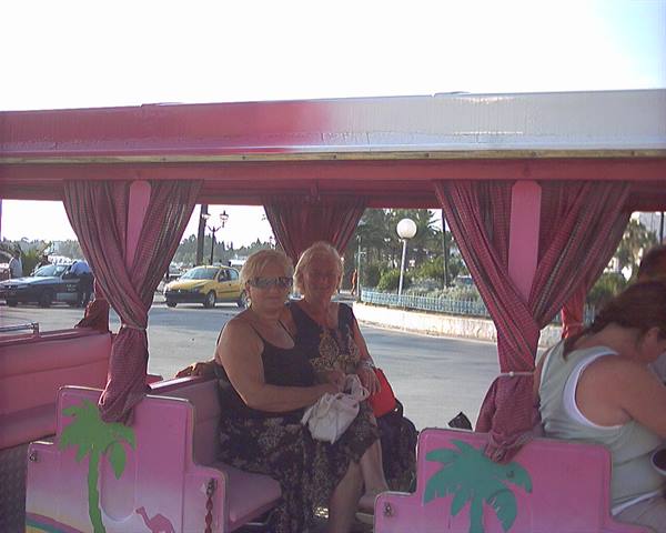 Two women sit in a pink tourist train with curtains and painted palms