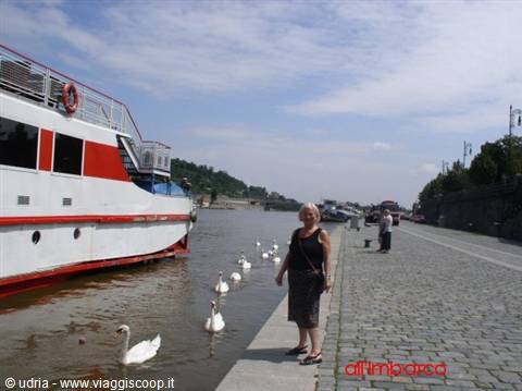 Woman beside a white and red riverboat with swans along a paved embankment