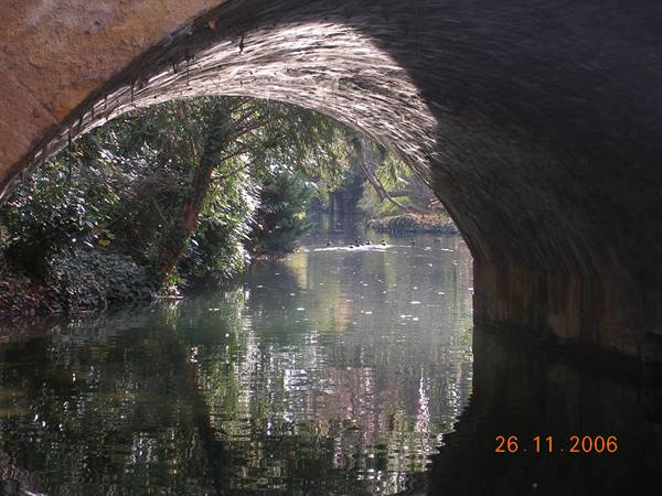 Under the stone bridge, the canal reflects trees and light among greenery