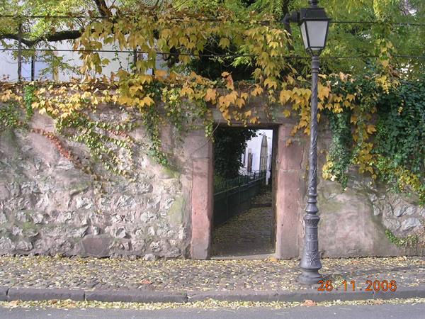 Old stone wall with doorway, autumn ivy and wrought-iron lamppost