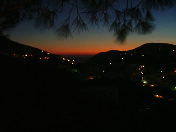 Dark pine branches over hills with lit houses at dusk