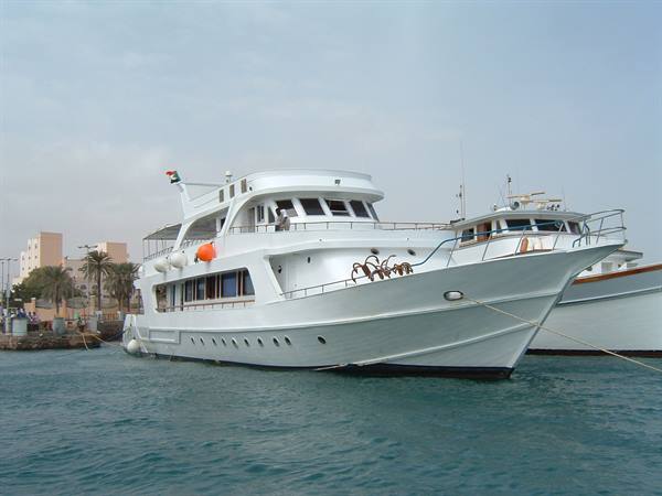 The Daedalus