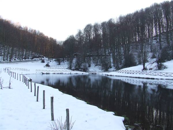 MONTELLA - Apennine pond