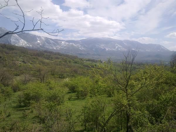 MONTELLA - Upper Calore Valley