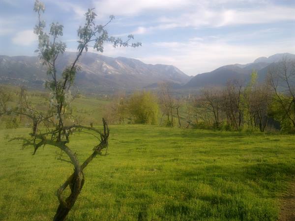 MONTELLA - Upper Calore Valley