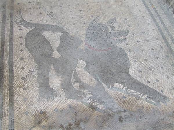 POMPEII - The mosaic CAVE CANEM