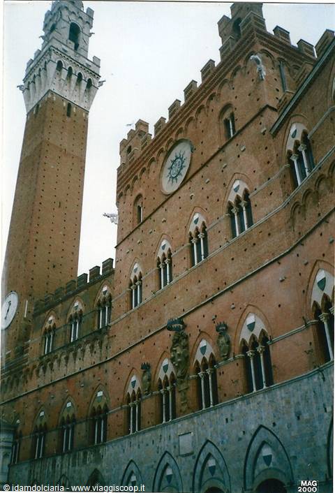 SIENA - Town Hall and Torre del Mangia