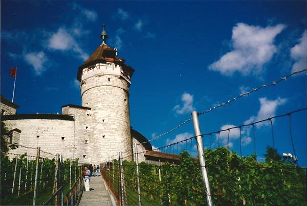 SCHAFFHAUSEN - Castle