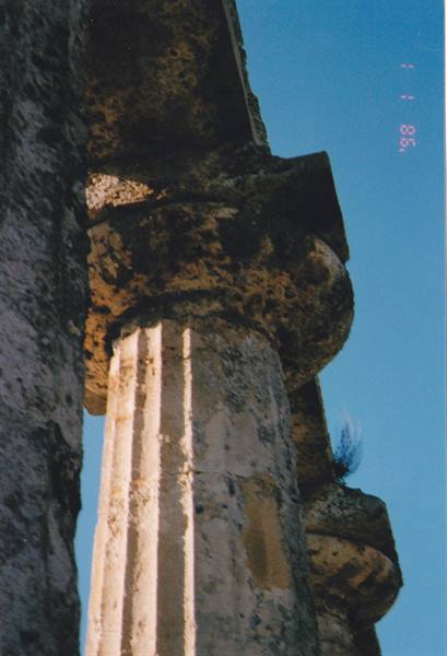 PALATINE TABLES - Detail