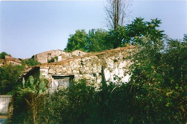 ROSCIGNO