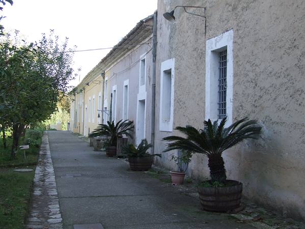 VISCIANO - Camaldoli Hermitage