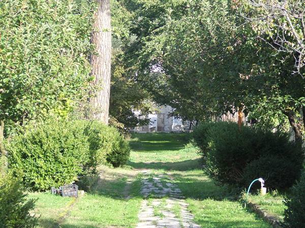 VISCIANO - Camaldoli Hermitage