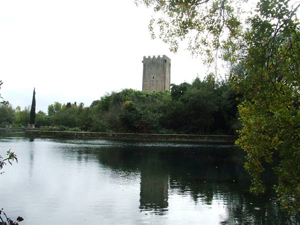 NINFA OASIS