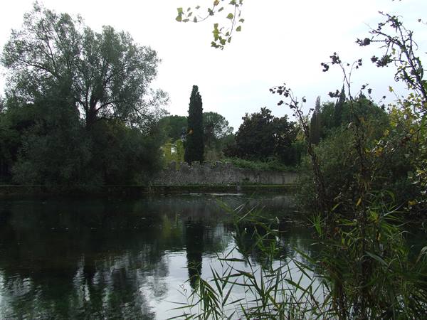 NINFA OASIS