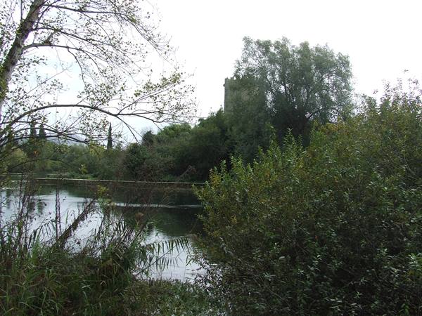 NINFA OASIS