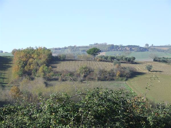 THE MOLISE COUNTRYSIDE NEAR SAN GIOVANNI IN GALDO