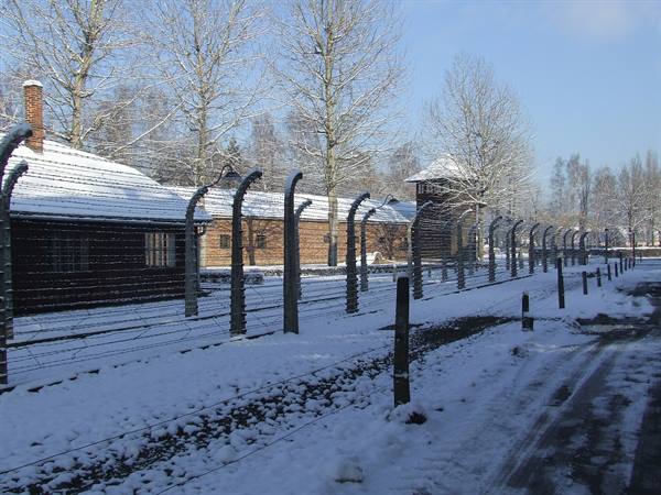 AUSCHWITZ 