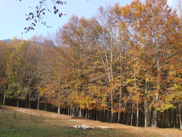 MONTELLA - Monti Picentini Regional Park