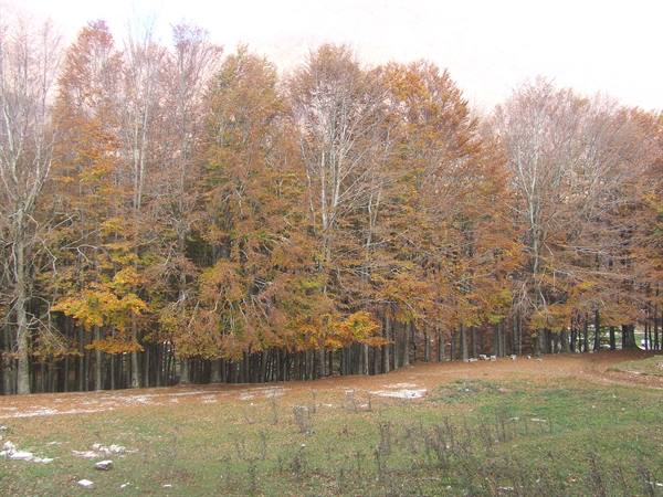 MONTELLA - Monti Picentini Regional Park
