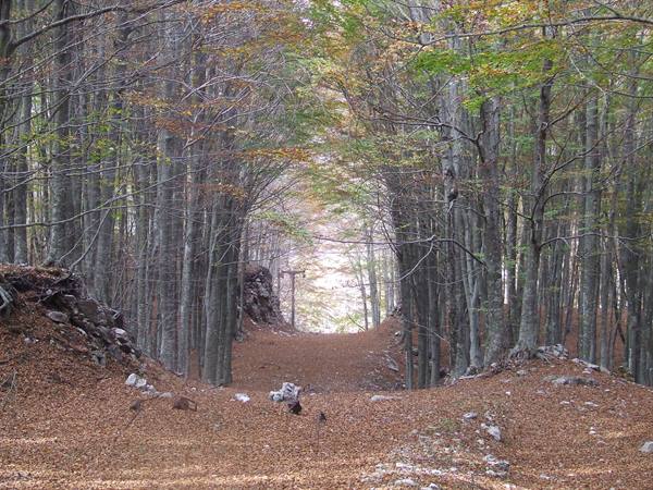 MONTELLA - Monti Picentini Regional Park
