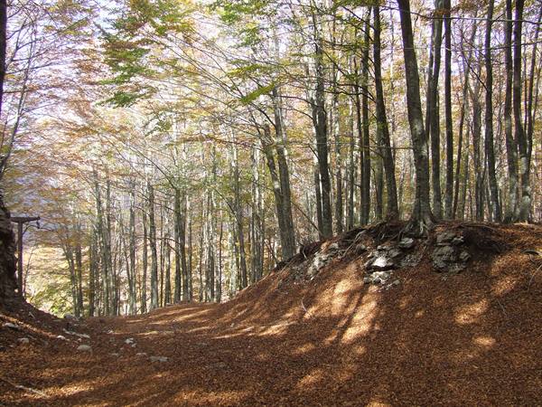 MONTELLA - Monti Picentini Regional Park