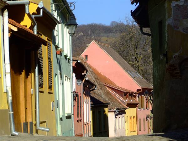 SIGHISOARA - Typical colourful little houses