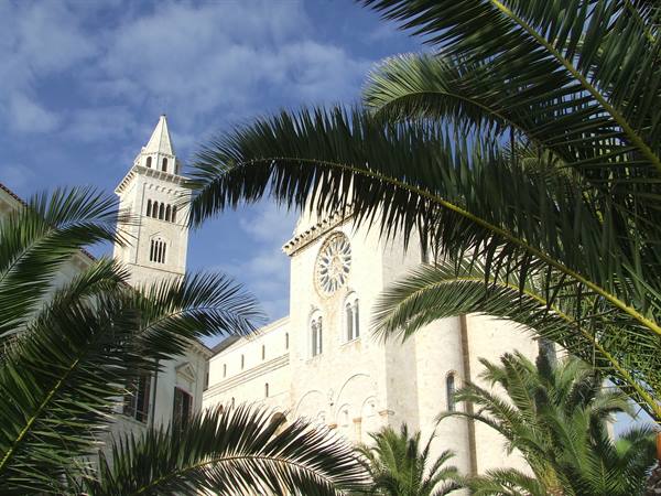 TRANI - Cathedral