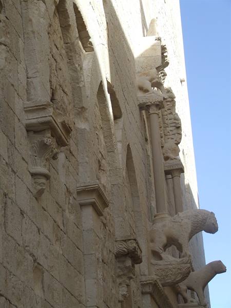 MOLFETTA - Cathedral : detail