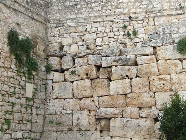 CONVERSANO - Messapian Walls