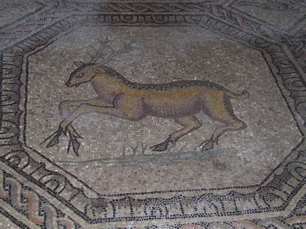 AQUILEIA - Basilica : mosaic